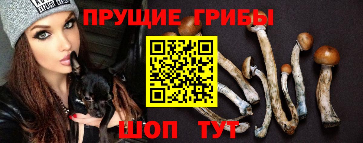 Псилоцибиновые грибы ЛСД Камень-на-Оби