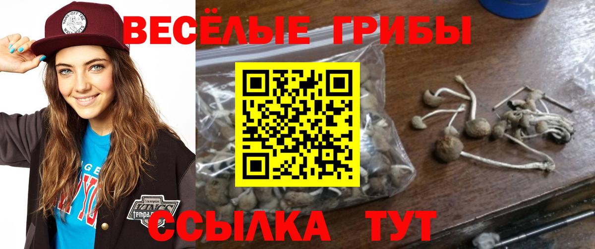 Камень-на-Оби  Псилоцибиновые грибы Magic Shrooms  Вход с VPN  Галлюциногенные грибы мицелий 